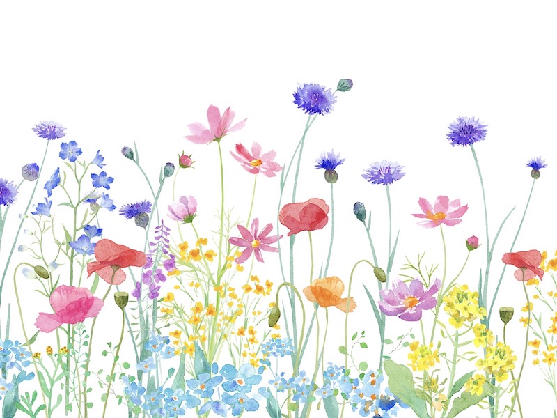 春の花のイラスト