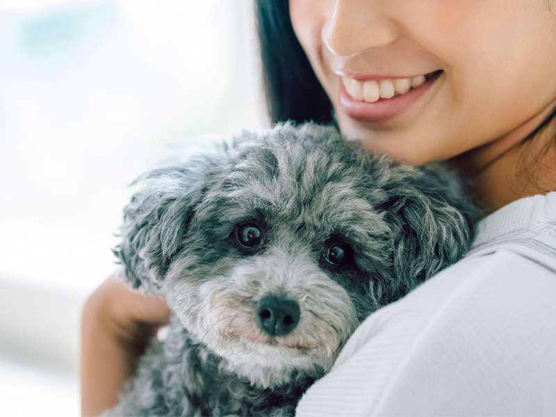 小型犬を抱きしめる女性